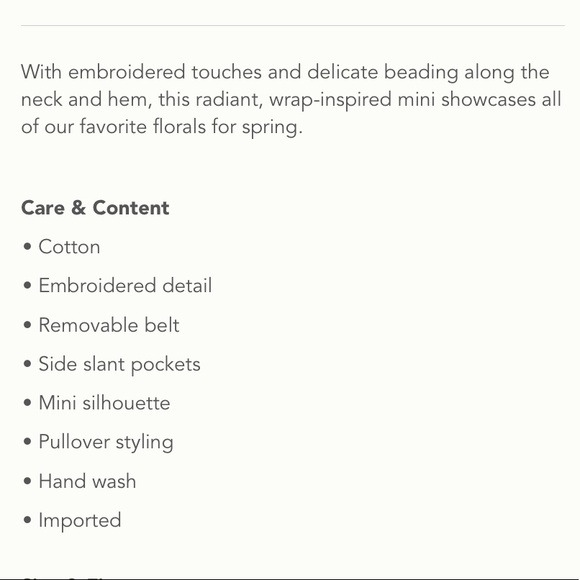 LAST CALL Anthropologie Raquel embroidered mini dress - Picture 4 of 16